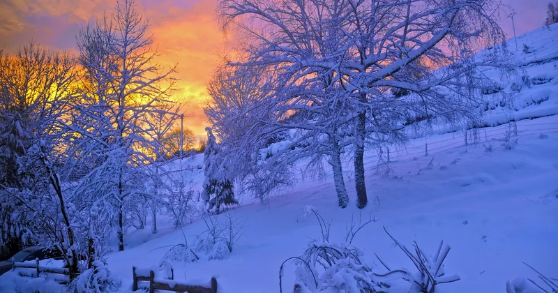 Vosges avec enfants l'hiver : ce qui change