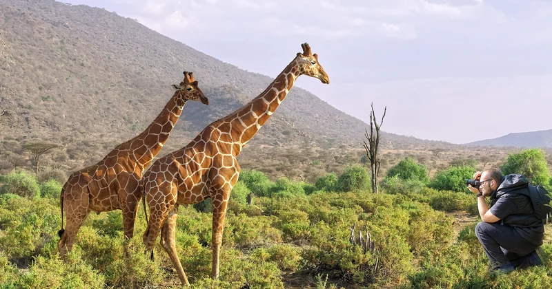 Quel appareil photo pour un safari quand on débute ?
